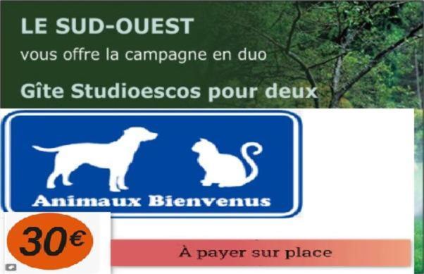 Gites Studioescos El Dos מראה חיצוני תמונה